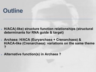 Outline
✤ H/ACA(-like) structure function relationships (structural
determinants for RNA guide & target)
✤ Archaea: H/ACA (Euryarchaea + Crenarchaea) &
H/ACA-like (Crenarchaea): variations on the same theme
?
✤ Alternative function(s) in Archaea ?
 