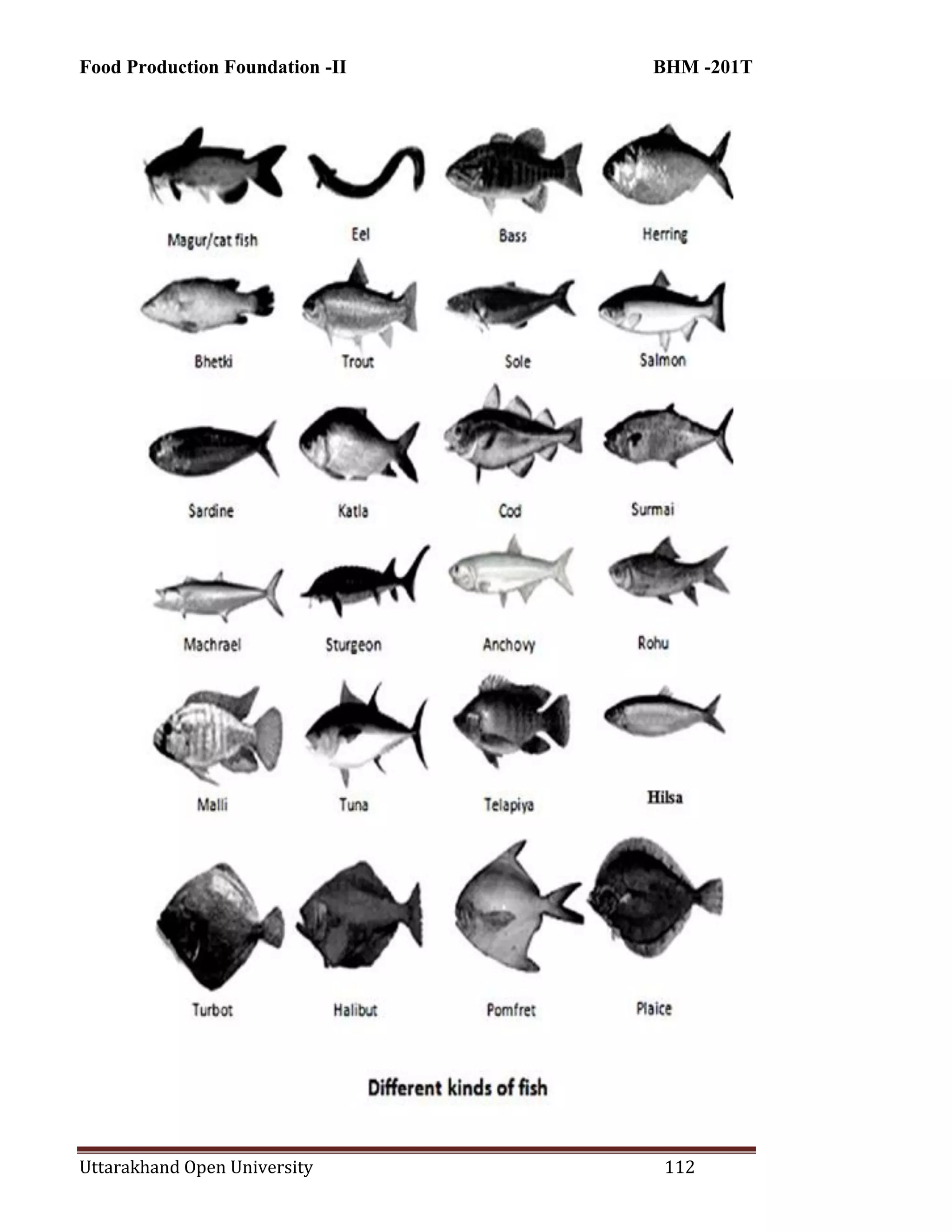 Food Production Foundation -II BHM -201T
Uttarakhand Open University 112
 
