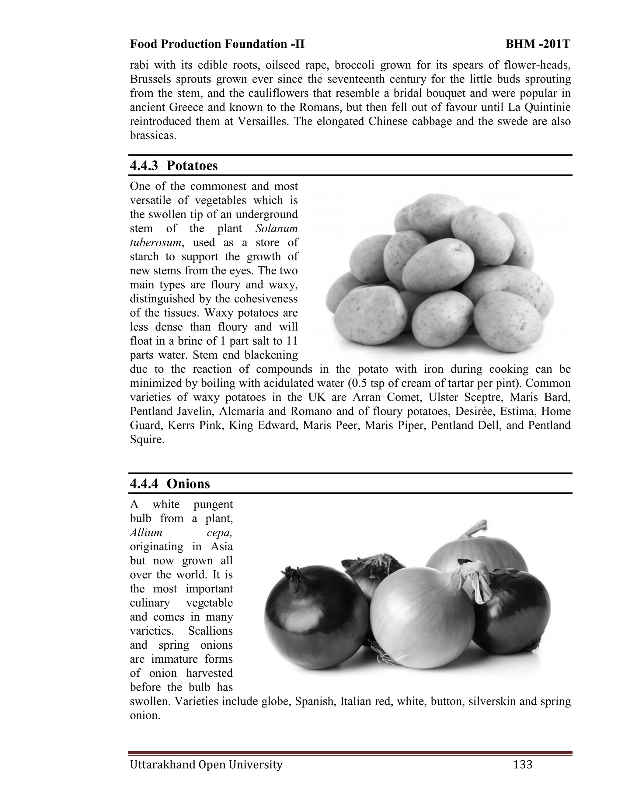 Food Production Foundation -II BHM -201T
Uttarakhand Open University 133
rabi with its edible roots, oilseed rape, broccoli grown for its spears of flower-heads,
Brussels sprouts grown ever since the seventeenth century for the little buds sprouting
from the stem, and the cauliflowers that resemble a bridal bouquet and were popular in
ancient Greece and known to the Romans, but then fell out of favour until La Quintinie
reintroduced them at Versailles. The elongated Chinese cabbage and the swede are also
brassicas.
4.4.3 Potatoes
One of the commonest and most
versatile of vegetables which is
the swollen tip of an underground
stem of the plant Solanum
tuberosum, used as a store of
starch to support the growth of
new stems from the eyes. The two
main types are floury and waxy,
distinguished by the cohesiveness
of the tissues. Waxy potatoes are
less dense than floury and will
float in a brine of 1 part salt to 11
parts water. Stem end blackening
due to the reaction of compounds in the potato with iron during cooking can be
minimized by boiling with acidulated water (0.5 tsp of cream of tartar per pint). Common
varieties of waxy potatoes in the UK are Arran Comet, Ulster Sceptre, Maris Bard,
Pentland Javelin, Alcmaria and Romano and of floury potatoes, Desirée, Estima, Home
Guard, Kerrs Pink, King Edward, Maris Peer, Maris Piper, Pentland Dell, and Pentland
Squire.
4.4.4 Onions
A white pungent
bulb from a plant,
Allium cepa,
originating in Asia
but now grown all
over the world. It is
the most important
culinary vegetable
and comes in many
varieties. Scallions
and spring onions
are immature forms
of onion harvested
before the bulb has
swollen. Varieties include globe, Spanish, Italian red, white, button, silverskin and spring
onion.
 