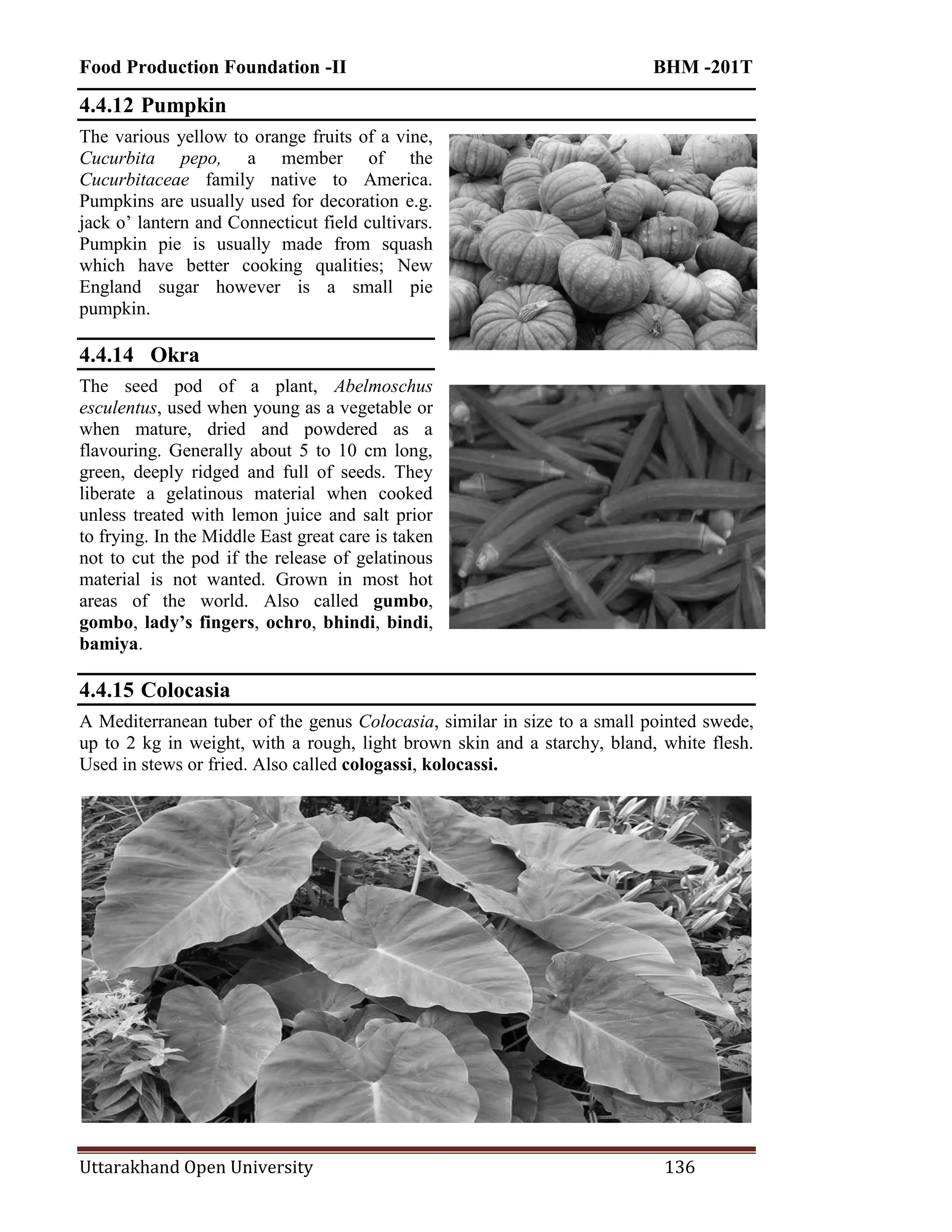 Food Production Foundation -II BHM -201T
Uttarakhand Open University 136
4.4.12 Pumpkin
The various yellow to orange fruits of a vine,
Cucurbita pepo, a member of the
Cucurbitaceae family native to America.
Pumpkins are usually used for decoration e.g.
jack o‘ lantern and Connecticut field cultivars.
Pumpkin pie is usually made from squash
which have better cooking qualities; New
England sugar however is a small pie
pumpkin.
4.4.14 Okra
The seed pod of a plant, Abelmoschus
esculentus, used when young as a vegetable or
when mature, dried and powdered as a
flavouring. Generally about 5 to 10 cm long,
green, deeply ridged and full of seeds. They
liberate a gelatinous material when cooked
unless treated with lemon juice and salt prior
to frying. In the Middle East great care is taken
not to cut the pod if the release of gelatinous
material is not wanted. Grown in most hot
areas of the world. Also called gumbo,
gombo, lady’s fingers, ochro, bhindi, bindi,
bamiya.
4.4.15 Colocasia
A Mediterranean tuber of the genus Colocasia, similar in size to a small pointed swede,
up to 2 kg in weight, with a rough, light brown skin and a starchy, bland, white flesh.
Used in stews or fried. Also called cologassi, kolocassi.
 