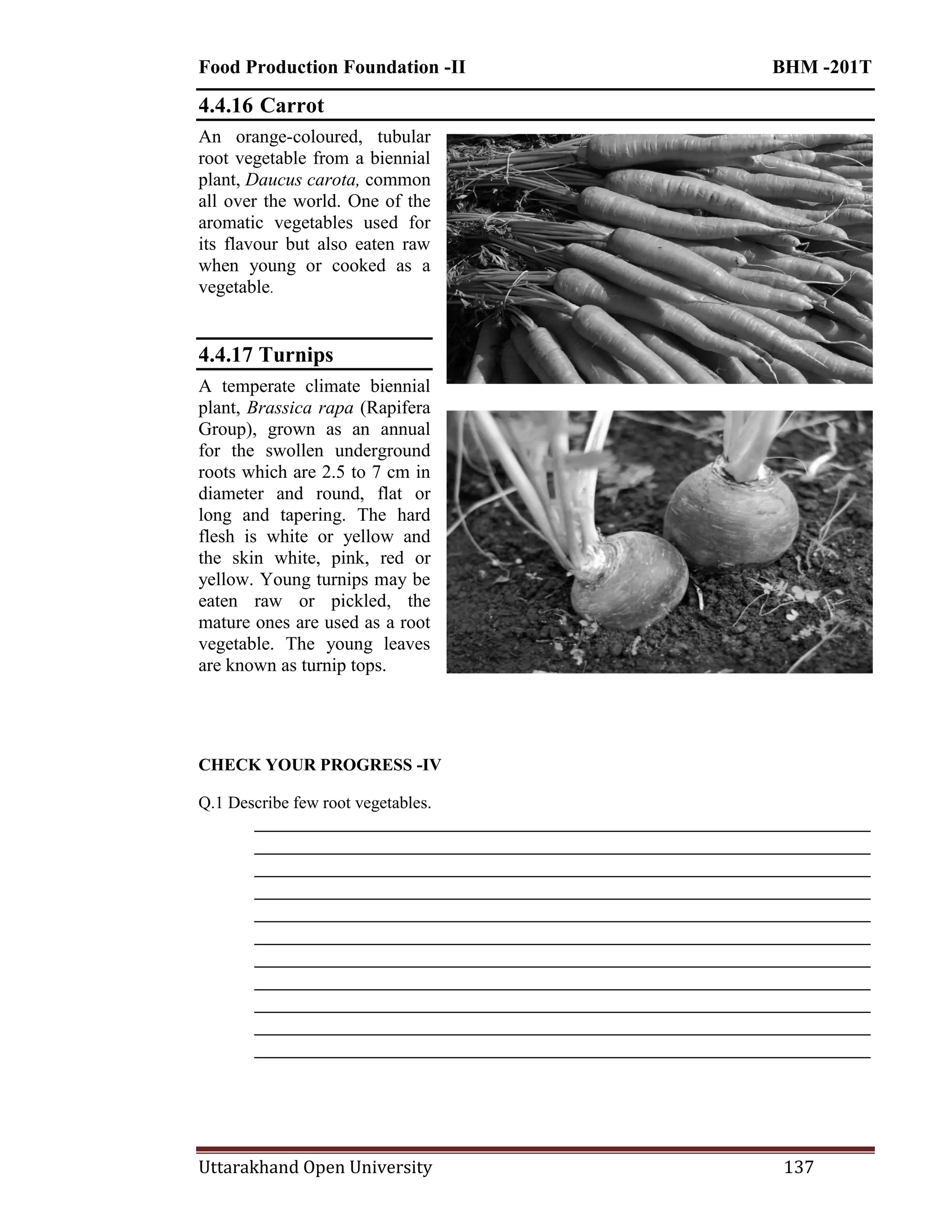 Food Production Foundation -II BHM -201T
Uttarakhand Open University 137
4.4.16 Carrot
An orange-coloured, tubular
root vegetable from a biennial
plant, Daucus carota, common
all over the world. One of the
aromatic vegetables used for
its flavour but also eaten raw
when young or cooked as a
vegetable.
4.4.17 Turnips
A temperate climate biennial
plant, Brassica rapa (Rapifera
Group), grown as an annual
for the swollen underground
roots which are 2.5 to 7 cm in
diameter and round, flat or
long and tapering. The hard
flesh is white or yellow and
the skin white, pink, red or
yellow. Young turnips may be
eaten raw or pickled, the
mature ones are used as a root
vegetable. The young leaves
are known as turnip tops.
CHECK YOUR PROGRESS -IV
Q.1 Describe few root vegetables.
________________________________________________________________________
________________________________________________________________________
________________________________________________________________________
________________________________________________________________________
________________________________________________________________________
________________________________________________________________________
________________________________________________________________________
________________________________________________________________________
________________________________________________________________________
________________________________________________________________________
________________________________________________________________________
 