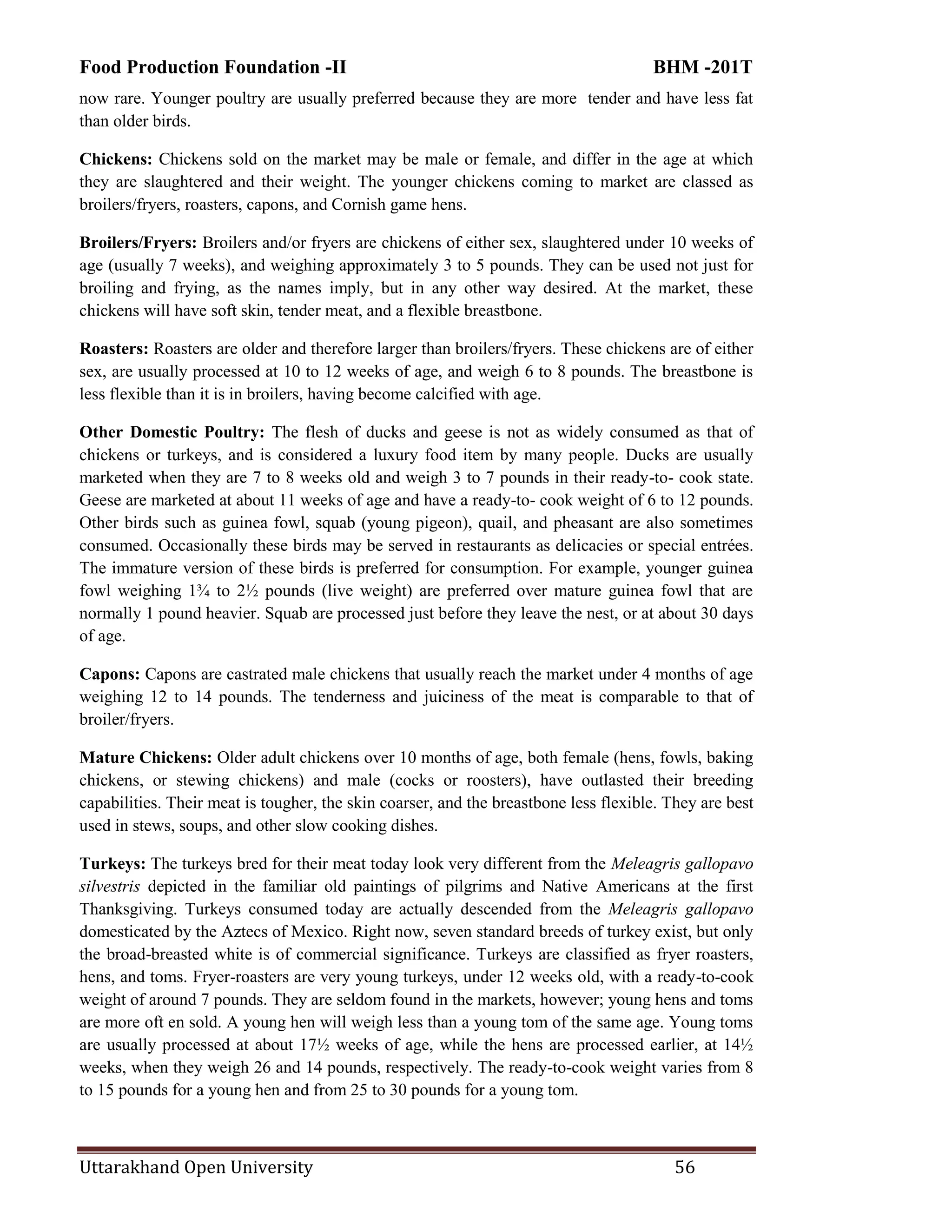 Food Production Foundation -II BHM -201T
Uttarakhand Open University 56
now rare. Younger poultry are usually preferred because they are more tender and have less fat
than older birds.
Chickens: Chickens sold on the market may be male or female, and differ in the age at which
they are slaughtered and their weight. The younger chickens coming to market are classed as
broilers/fryers, roasters, capons, and Cornish game hens.
Broilers/Fryers: Broilers and/or fryers are chickens of either sex, slaughtered under 10 weeks of
age (usually 7 weeks), and weighing approximately 3 to 5 pounds. They can be used not just for
broiling and frying, as the names imply, but in any other way desired. At the market, these
chickens will have soft skin, tender meat, and a flexible breastbone.
Roasters: Roasters are older and therefore larger than broilers/fryers. These chickens are of either
sex, are usually processed at 10 to 12 weeks of age, and weigh 6 to 8 pounds. The breastbone is
less flexible than it is in broilers, having become calcified with age.
Other Domestic Poultry: The flesh of ducks and geese is not as widely consumed as that of
chickens or turkeys, and is considered a luxury food item by many people. Ducks are usually
marketed when they are 7 to 8 weeks old and weigh 3 to 7 pounds in their ready-to- cook state.
Geese are marketed at about 11 weeks of age and have a ready-to- cook weight of 6 to 12 pounds.
Other birds such as guinea fowl, squab (young pigeon), quail, and pheasant are also sometimes
consumed. Occasionally these birds may be served in restaurants as delicacies or special entrées.
The immature version of these birds is preferred for consumption. For example, younger guinea
fowl weighing 1¾ to 2½ pounds (live weight) are preferred over mature guinea fowl that are
normally 1 pound heavier. Squab are processed just before they leave the nest, or at about 30 days
of age.
Capons: Capons are castrated male chickens that usually reach the market under 4 months of age
weighing 12 to 14 pounds. The tenderness and juiciness of the meat is comparable to that of
broiler/fryers.
Mature Chickens: Older adult chickens over 10 months of age, both female (hens, fowls, baking
chickens, or stewing chickens) and male (cocks or roosters), have outlasted their breeding
capabilities. Their meat is tougher, the skin coarser, and the breastbone less flexible. They are best
used in stews, soups, and other slow cooking dishes.
Turkeys: The turkeys bred for their meat today look very different from the Meleagris gallopavo
silvestris depicted in the familiar old paintings of pilgrims and Native Americans at the first
Thanksgiving. Turkeys consumed today are actually descended from the Meleagris gallopavo
domesticated by the Aztecs of Mexico. Right now, seven standard breeds of turkey exist, but only
the broad-breasted white is of commercial significance. Turkeys are classified as fryer roasters,
hens, and toms. Fryer-roasters are very young turkeys, under 12 weeks old, with a ready-to-cook
weight of around 7 pounds. They are seldom found in the markets, however; young hens and toms
are more oft en sold. A young hen will weigh less than a young tom of the same age. Young toms
are usually processed at about 17½ weeks of age, while the hens are processed earlier, at 14½
weeks, when they weigh 26 and 14 pounds, respectively. The ready-to-cook weight varies from 8
to 15 pounds for a young hen and from 25 to 30 pounds for a young tom.
 