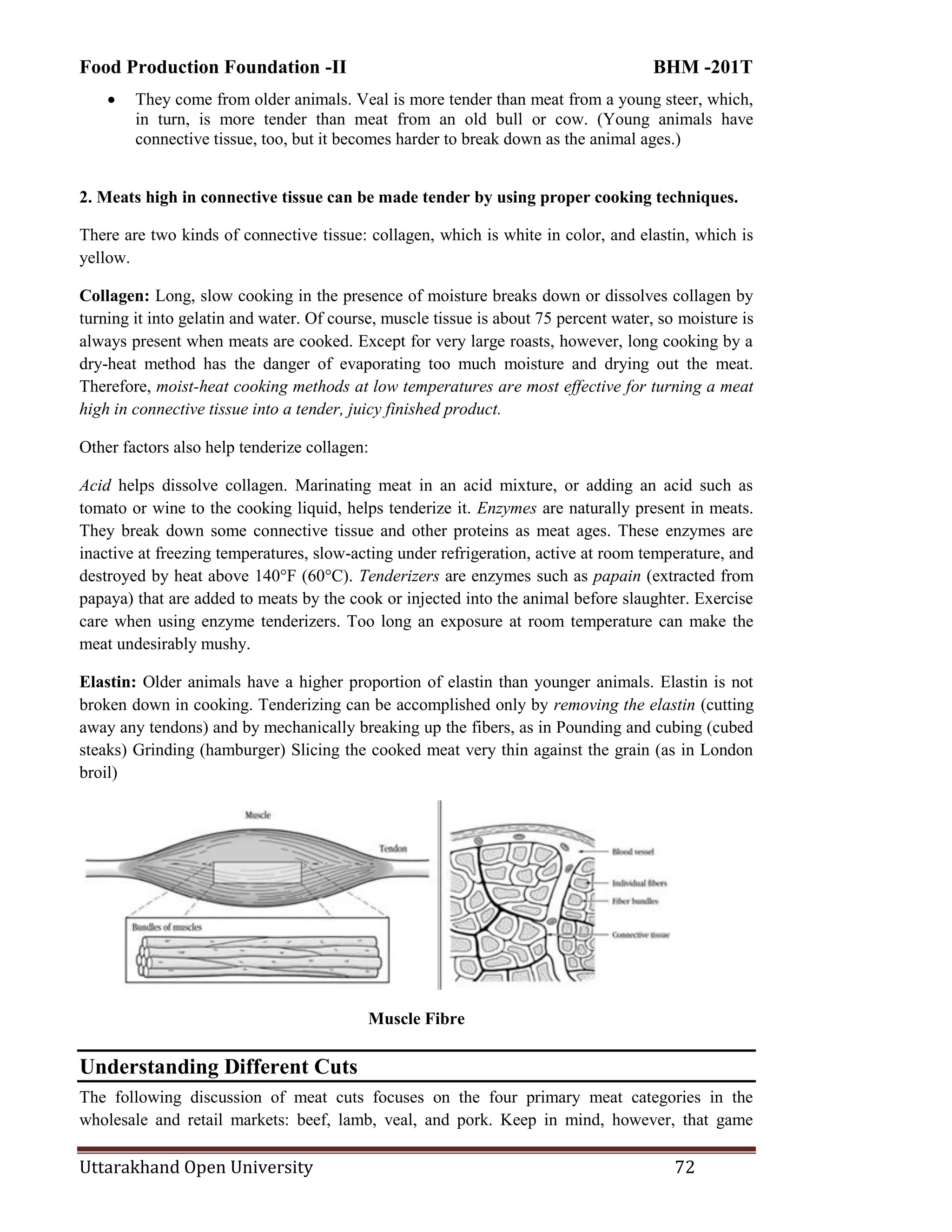 Food Production Foundation -II BHM -201T
Uttarakhand Open University 72
 They come from older animals. Veal is more tender than meat from a young steer, which,
in turn, is more tender than meat from an old bull or cow. (Young animals have
connective tissue, too, but it becomes harder to break down as the animal ages.)
2. Meats high in connective tissue can be made tender by using proper cooking techniques.
There are two kinds of connective tissue: collagen, which is white in color, and elastin, which is
yellow.
Collagen: Long, slow cooking in the presence of moisture breaks down or dissolves collagen by
turning it into gelatin and water. Of course, muscle tissue is about 75 percent water, so moisture is
always present when meats are cooked. Except for very large roasts, however, long cooking by a
dry-heat method has the danger of evaporating too much moisture and drying out the meat.
Therefore, moist-heat cooking methods at low temperatures are most effective for turning a meat
high in connective tissue into a tender, juicy finished product.
Other factors also help tenderize collagen:
Acid helps dissolve collagen. Marinating meat in an acid mixture, or adding an acid such as
tomato or wine to the cooking liquid, helps tenderize it. Enzymes are naturally present in meats.
They break down some connective tissue and other proteins as meat ages. These enzymes are
inactive at freezing temperatures, slow-acting under refrigeration, active at room temperature, and
destroyed by heat above 140°F (60°C). Tenderizers are enzymes such as papain (extracted from
papaya) that are added to meats by the cook or injected into the animal before slaughter. Exercise
care when using enzyme tenderizers. Too long an exposure at room temperature can make the
meat undesirably mushy.
Elastin: Older animals have a higher proportion of elastin than younger animals. Elastin is not
broken down in cooking. Tenderizing can be accomplished only by removing the elastin (cutting
away any tendons) and by mechanically breaking up the fibers, as in Pounding and cubing (cubed
steaks) Grinding (hamburger) Slicing the cooked meat very thin against the grain (as in London
broil)
Muscle Fibre
Understanding Different Cuts
The following discussion of meat cuts focuses on the four primary meat categories in the
wholesale and retail markets: beef, lamb, veal, and pork. Keep in mind, however, that game
 