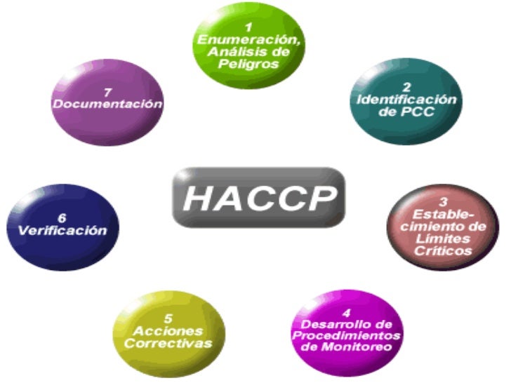 Ejemplos De Haccp