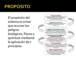 PROPOSITO	El propósito del sistema es evitar que ocurran los peligros biológicos, físicos y químicos mediante la aplicación de 7 principios.