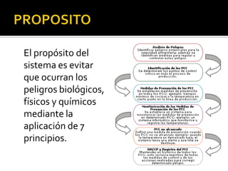 PROPOSITO	El propósito del sistema es evitar que ocurran los peligros biológicos, físicos y químicos mediante la aplicación de 7 principios.