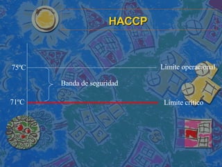 HACCP Límite crítico Límite operacional 71ºC 75ºC Banda de seguridad 