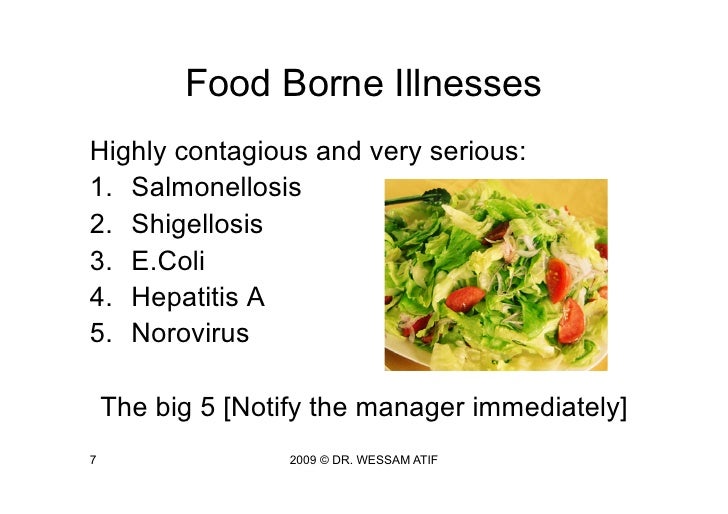 Hepatitis A Food To Eat Hepatitis A Food To Eat