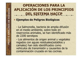 OPERACIONES PARA LA
APLICACIÓN DE LOS PRINCIPIOS
DEL SISTEMA HACCP
Ejemplos de Peligros Biológicos
- La Salmonella, bacteria de amplia difusión
en el medio ambiente, sobre todo en
reservorios animales, se han identificado más
de 2200 serotipos
- Los alimentos de origen animal y vegetales
regados con aguas residuales(establos y
camales) han sido identificados como
vehículos de transmisión y causantes de la
contaminación cruzada en las cocinas.
PASO6-ANALISISDERIESGOS
 