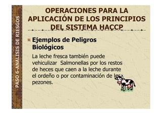 OPERACIONES PARA LA
APLICACIÓN DE LOS PRINCIPIOS
DEL SISTEMA HACCP
Ejemplos de Peligros
Biológicos
La leche fresca también puede
vehiculizar Salmonellas por los restos
de heces que caen a la leche durante
el ordeño o por contaminación de los
pezones.
PASO6-ANALISISDERIESGOS
 
