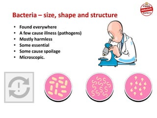 Bacteria – size, shape and structure
• Found everywhere
• A few cause illness (pathogens)
• Mostly harmless
• Some essential
• Some cause spoilage
• Microscopic.
 