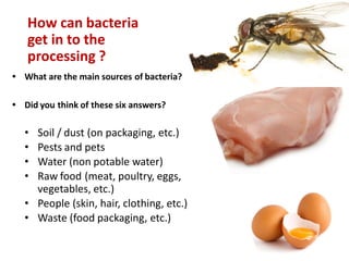 How can bacteria
get in to the
processing ?
• What are the main sources of bacteria?
• Did you think of these six answers?
• Soil / dust (on packaging, etc.)
• Pests and pets
• Water (non potable water)
• Raw food (meat, poultry, eggs,
vegetables, etc.)
• People (skin, hair, clothing, etc.)
• Waste (food packaging, etc.)
 