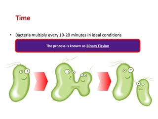 Time
• Bacteria multiply every 10-20 minutes in ideal conditions
The process is known as Binary Fission
 