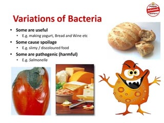 Variations of Bacteria
• Some are useful
• E.g. making yogurt, Bread and Wine etc
• Some cause spoilage
• E.g. slimy / discoloured food
• Some are pathogenic (harmful)
• E.g. Salmonella
 