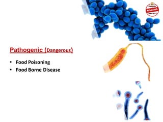 Pathogenic (Dangerous)
• Food Poisoning
• Food Borne Disease
 
