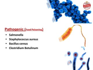 Pathogenic (Food Poisoning)
• Salmonella
• Staphylococcus aureus
• Bacillus cereus
• Clostridium Botulinum
 