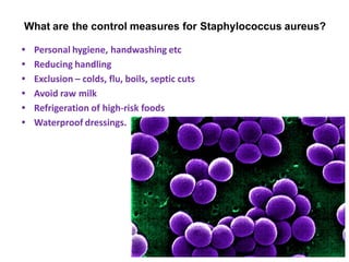 What are the control measures for Staphylococcus aureus?
• Personal hygiene, handwashing etc
• Reducing handling
• Exclusion – colds, flu, boils, septic cuts
• Avoid raw milk
• Refrigeration of high-risk foods
• Waterproof dressings.
 