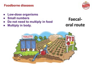 Foodborne diseases
● Low-dose organisms
● Small numbers
● Do not need to multiply in food
● Multiply in body.
Faecal-
oral route
 