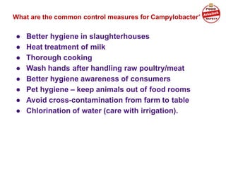 What are the common control measures for Campylobacter?
● Better hygiene in slaughterhouses
● Heat treatment of milk
● Thorough cooking
● Wash hands after handling raw poultry/meat
● Better hygiene awareness of consumers
● Pet hygiene – keep animals out of food rooms
● Avoid cross-contamination from farm to table
● Chlorination of water (care with irrigation).
 