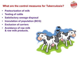What are the control measures for Tuberculosis?
• Pasteurization of milk
• Testing of cattle
• Satisfactory sewage disposal
• Inoculation of population (BCG)
• Exclusion of carriers
• Avoidance of raw milk
& raw milk products.
 