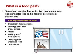 What is a food pest?
• “An animal, insect or bird which lives in or on our food.
It contaminates food and is noxious, destructive or
troublesome”
• Breeding in decaying matter
• Feeding (vomit back
previous meal)
• Faeces
• Walking on it/
work surfaces
• Laying eggs on
uncovered food
• Dead bodies.
How do pests contaminate food?
 