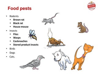 • Rodents
• Brown rat
• Black rat
• House mouse
• Insects
• Flies
• Wasps
• Cockroaches
• Stored product insects
• Birds
• Dogs
• Cats.
Food pests
 
