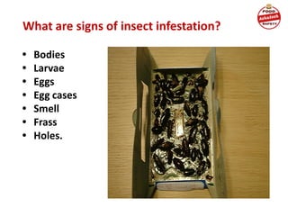 What are signs of insect infestation?
• Bodies
• Larvae
• Eggs
• Egg cases
• Smell
• Frass
• Holes.
 