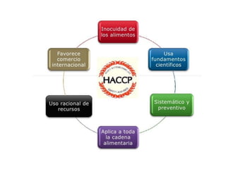 HACCP en los alimentos y producción alimentos | PDF