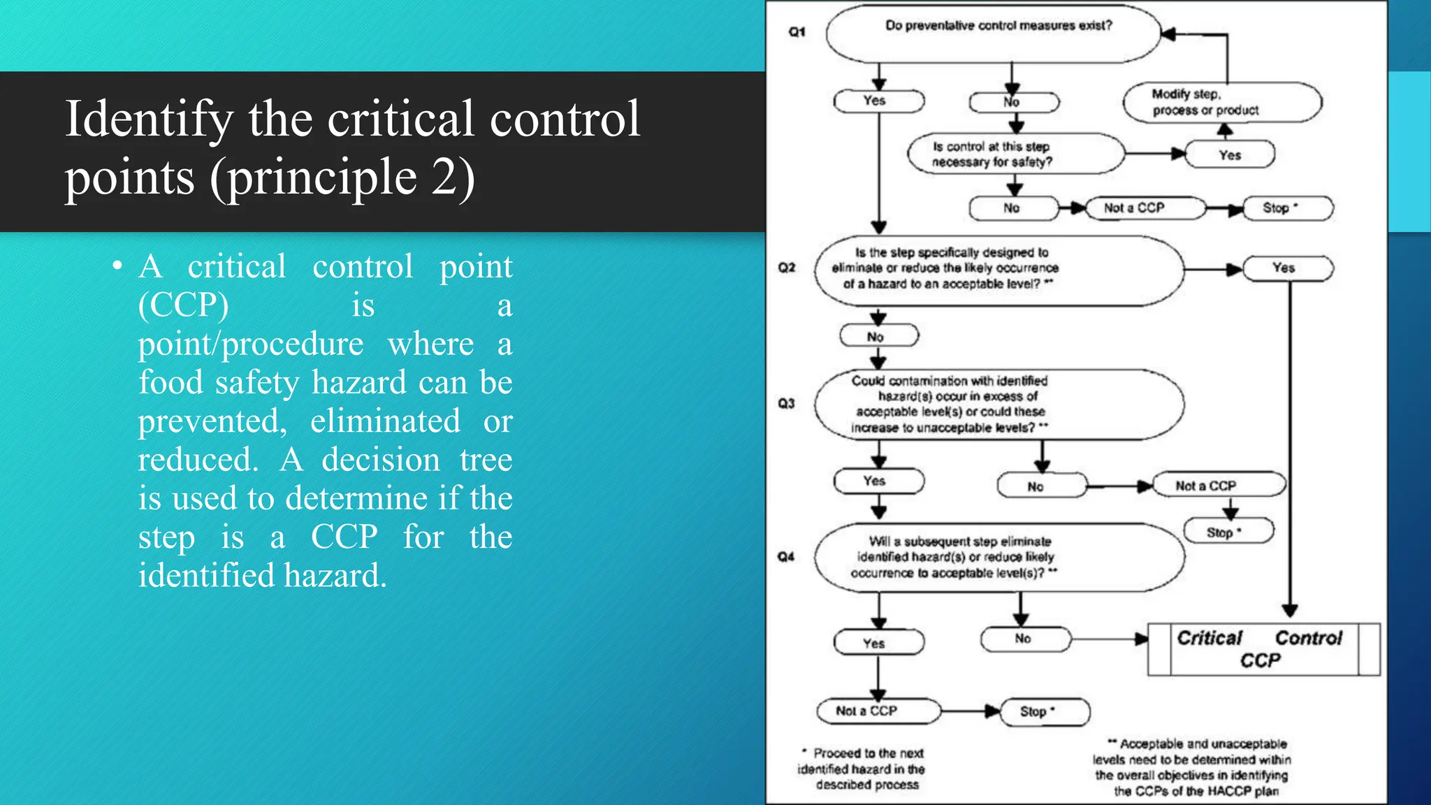 Identify the critical control
points (principle 2)
• A critical control point
(CCP) is a
point/procedure where a
food safety hazard can be
prevented, eliminated or
reduced. A decision tree
is used to determine if the
step is a CCP for the
identified hazard.
Friday, 12 July 2024
18
 