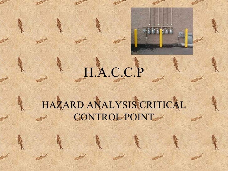 H.A.C.C.P 3