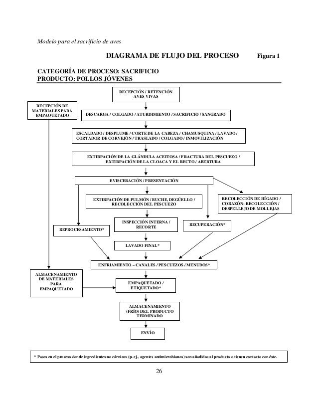 Haccp 5 sp