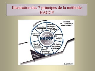Illustration des 7 principes de la méthode
HACCP
 