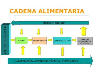 CADENA ALIMENTARIA
                          MEJORES PRECIOS
O
R
G
A
N
I                                                      MERCADO
       CAMPO     PROCESAMIENTO   COMERCIALIZACIÓN
Z                                                   INTERNACIONAL
A                                                     Y NACIONAL
C
I
O
N



     CAPACITACIÓN- ASISTENCIA TÉCNICA - TECNOLOGÍA
 