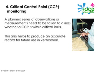 Critical Control Observation Example Haccp and food safety | PDF