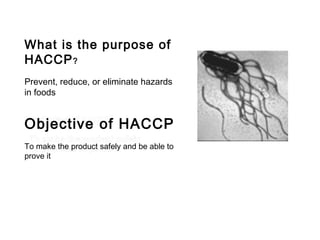 What is the purpose of 
HACCP? 
Prevent, reduce, or eliminate hazards 
in foods 
Objective of HACCP 
To make the product safely and be able to 
prove it 
 