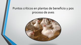 Puntos críticos en plantas de beneficio y pos
proceso de aves
 
