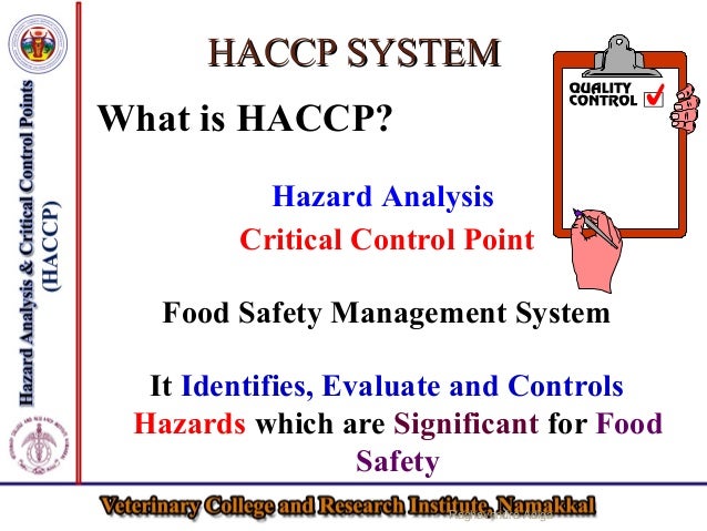 Haccp food safety plan template picture