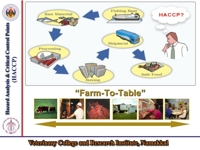 Critical Controls In Food Safety Critical Controls In Food Safety