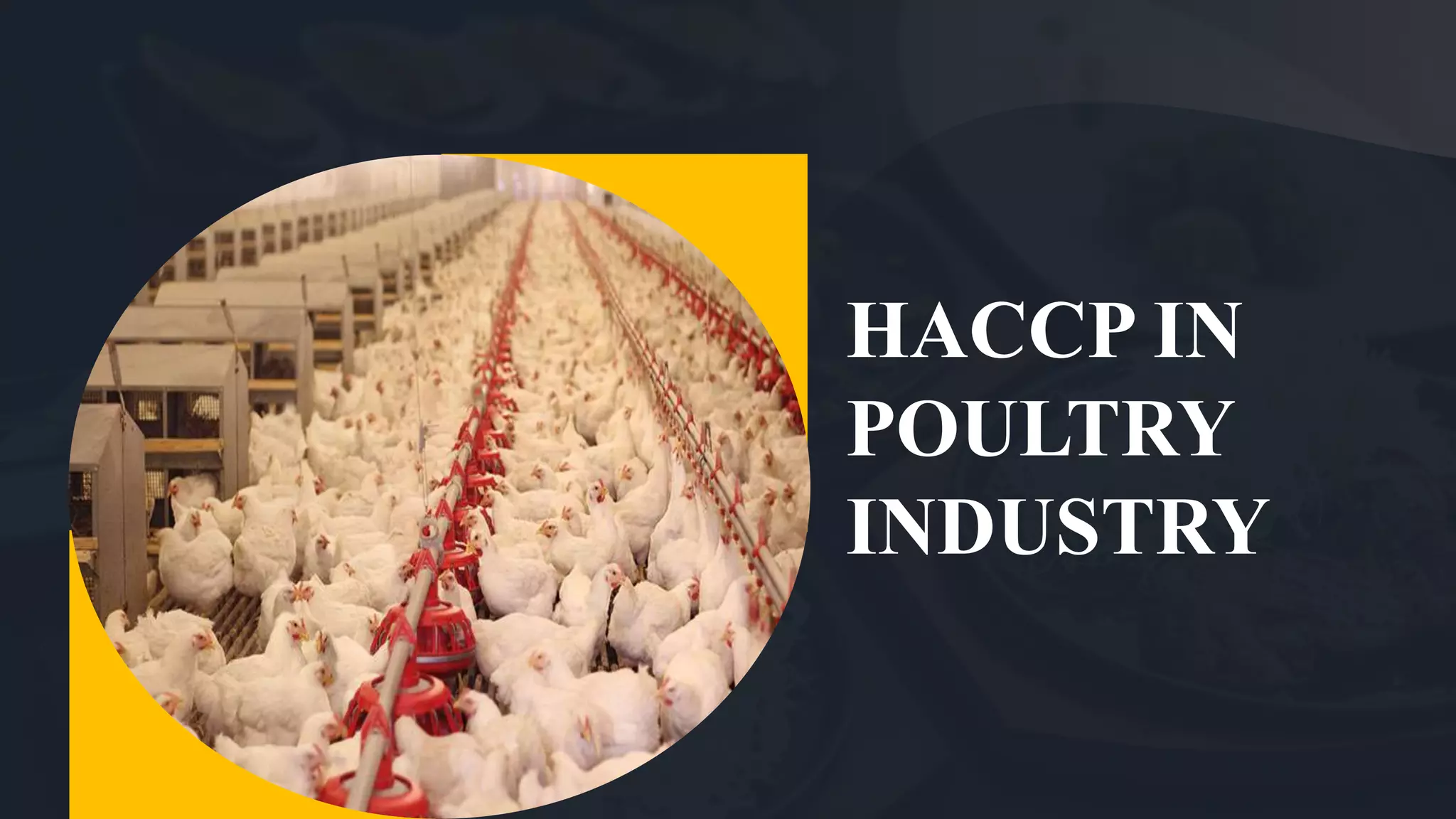 HACCP in Poultry Industry PPT