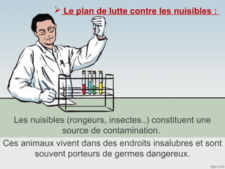  Le plan de lutte contre les nuisibles : 
Les nuisibles (rongeurs, insectes..) constituent une 
source de contamination. 
Ces animaux vivent dans des endroits insalubres et sont 
souvent porteurs de germes dangereux. 
 