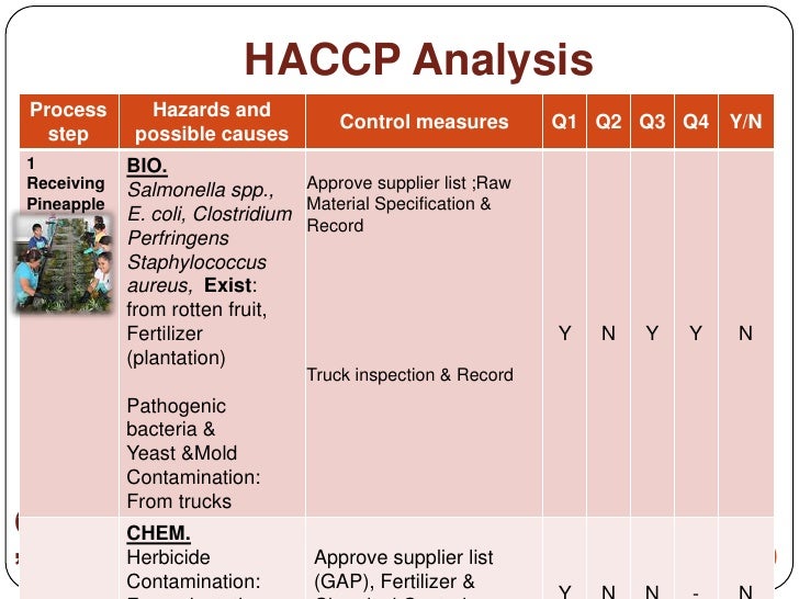 haccp of pineapple canned in syrup 13 728