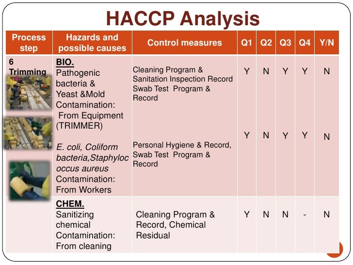 Haccp of pineapple canned in syrup