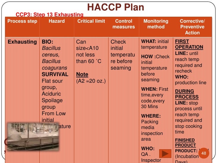 Haccp of pineapple canned in syrup