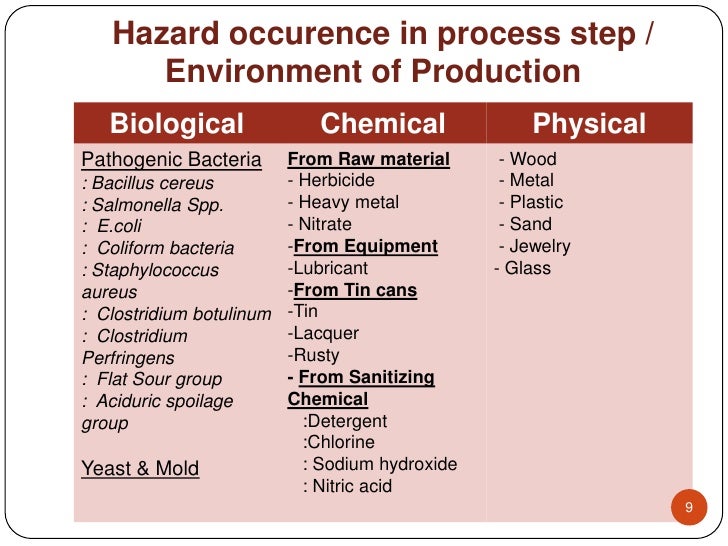 haccp plan template
