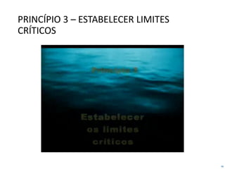46
PRINCÍPIO 3 – ESTABELECER LIMITES
CRÍTICOS
 