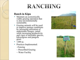 Ranch in Kipu Maintain an economically viable grazing operation that is also environmentally sustainable.  Grazing animals will be used to improve pasture conditions by increasing utilization of undesirable forages, rattail while increasing productivity and vigor of desirable species, kikuyugrass and pangola grass 1200 ac. Practices Implemented: ~Fencing ~ Prescribed Grazing ~ Water Facility  