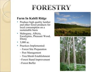 Farm In Kahili Ridge  Produce high quality lumber and other forest products for local consumption on a sustainable basis Mahogany, Albizia, Eucalyptus, Pheasant Wood, Ebony  3,000 ac. Practices Implemented: ~ Forest Site Preparation ~ Pest Management ~ Tree/Shrub Establishment ~Forest Stand Improvement  ~Forest Buffer  