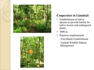 Cooperator in Limahuli Establishment of native species to provide habitat for native insects and endangered plants.  1000 ac.  Practices Implemented: ~Tree/Shrub Establishment  ~Upland Wildlife Habitat  Management  