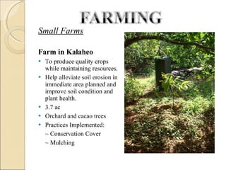 Small Farms Farm in Kalaheo  To produce quality crops while maintaining resources.  Help alleviate soil erosion in immediate area planned and improve soil condition and plant health. 3.7 ac Orchard and cacao trees Practices Implemented: ~ Conservation Cover ~ Mulching 