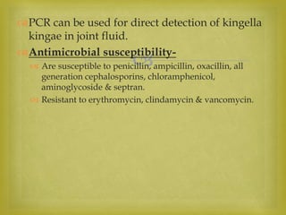 
PCR can be used for direct detection of kingella
kingae in joint fluid.
Antimicrobial susceptibility-
 Are susceptible to penicillin, ampicillin, oxacillin, all
generation cephalosporins, chloramphenicol,
aminoglycoside & septran.
 Resistant to erythromycin, clindamycin & vancomycin.
 